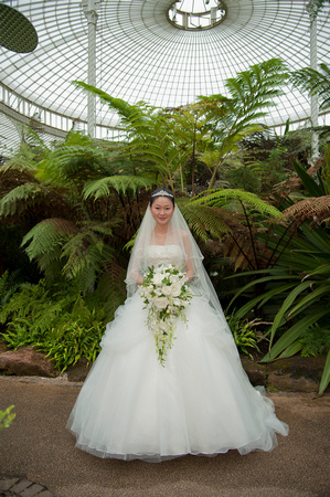 wedding photography at glasgow botanic gardens   (20)
